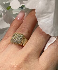 Alternative view of Inel Tania