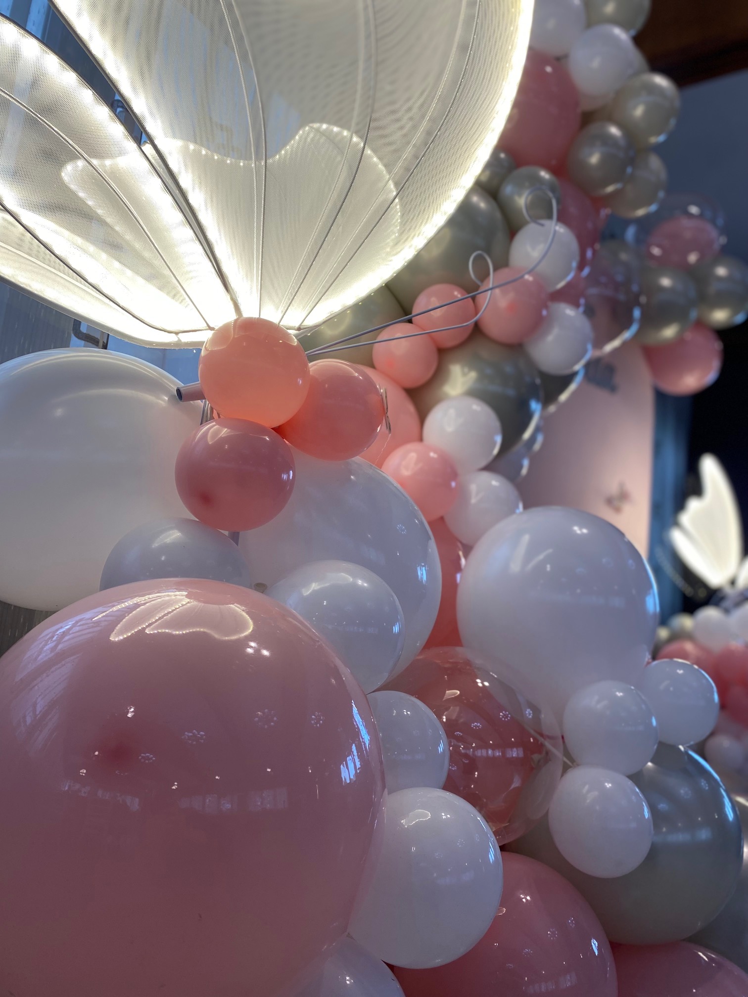 Decor foto botez fluturi - imagine 3