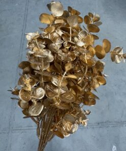 Buchetel eucalipt auriu