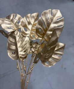 Frunze monstera aurii