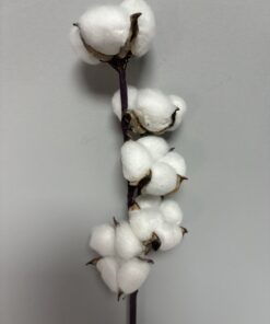 Planta artificiala bumbac