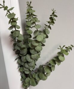 Buchet eucalipt silicon