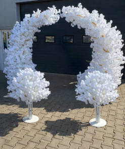 Arcada semiluna cu 2 pomisori